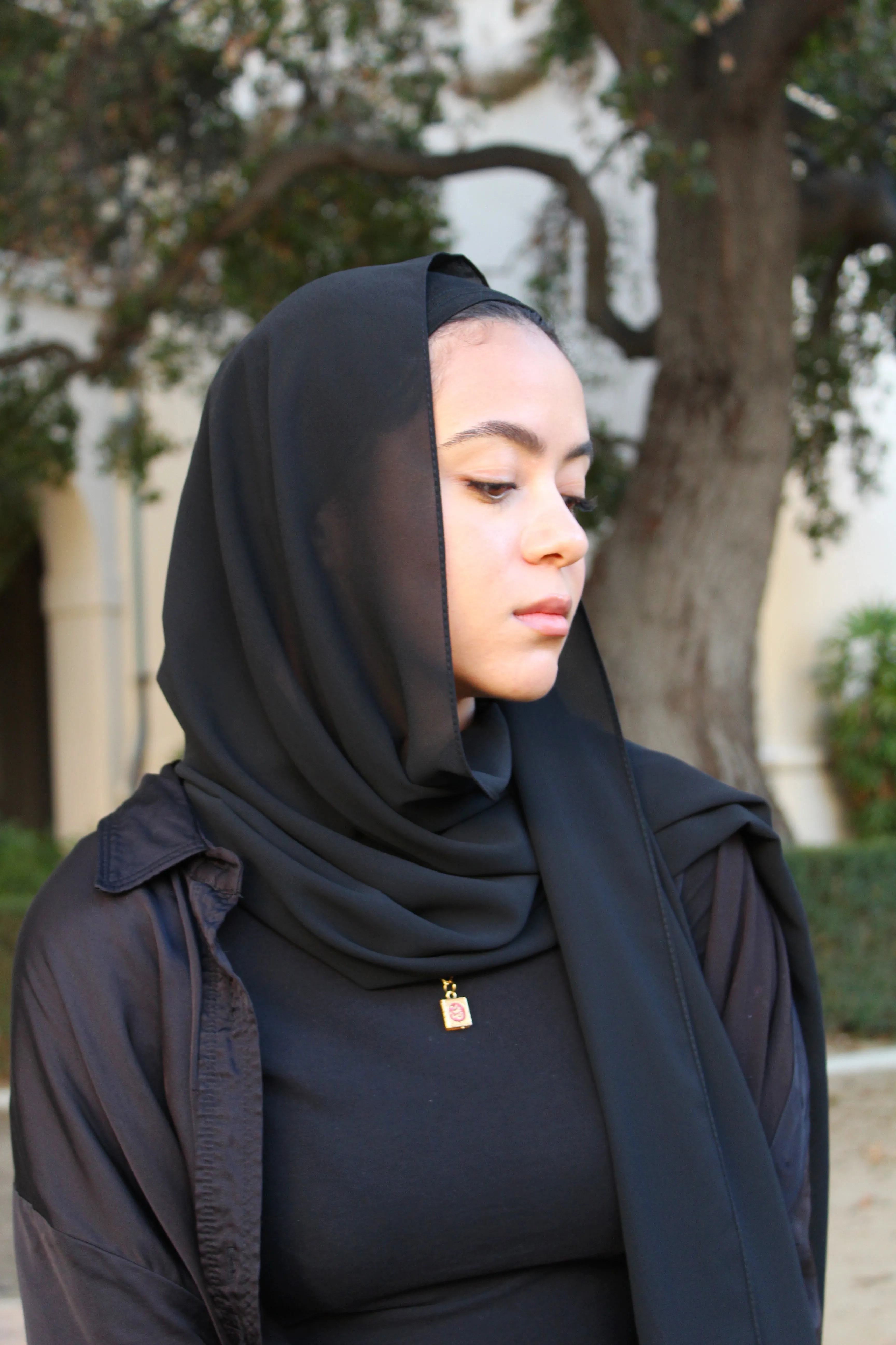 Black Instant Chiffon