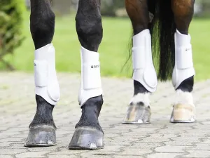 Busse Tendon Boots "Active-Pro"