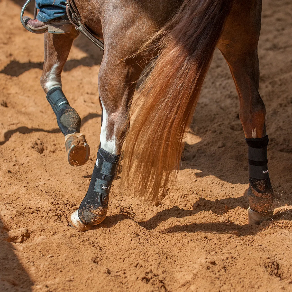 Classic Equine Legacy2 HIND Protective Boots