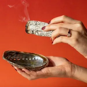 LUXURY ABALONE SHELL SMUDGE BOWL