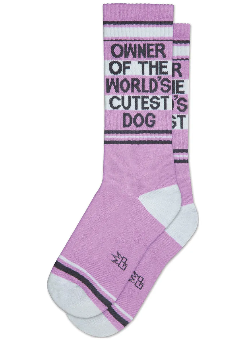 Owner of the World's Cutest Dog Socks