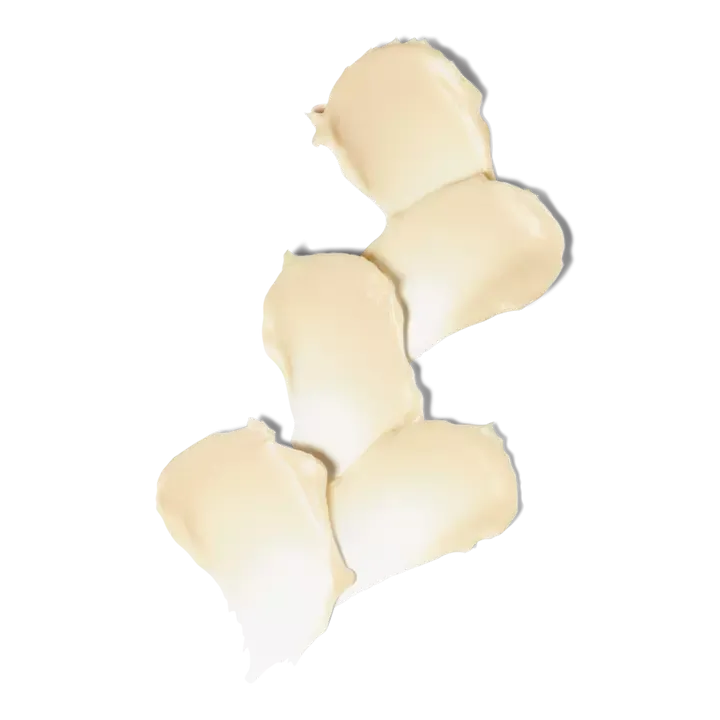 Undaria Algae Body Butter
